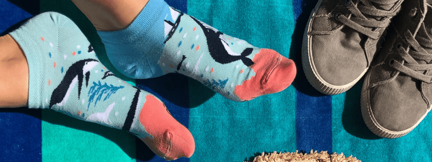 Colección Calcetines Animales Marinos