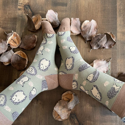Calcetines_con_diseños_erizo_de_tierra