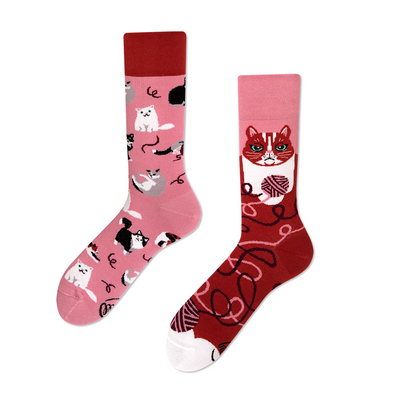 Calcetines-Gatos-The-Socks-Closet