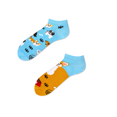 Calcetines_con_diseño_playful_dog_the_socks_closet